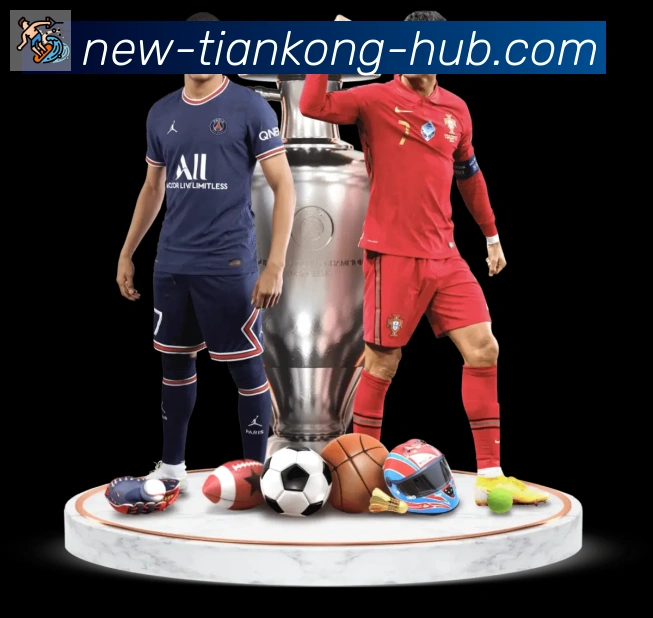 登录器